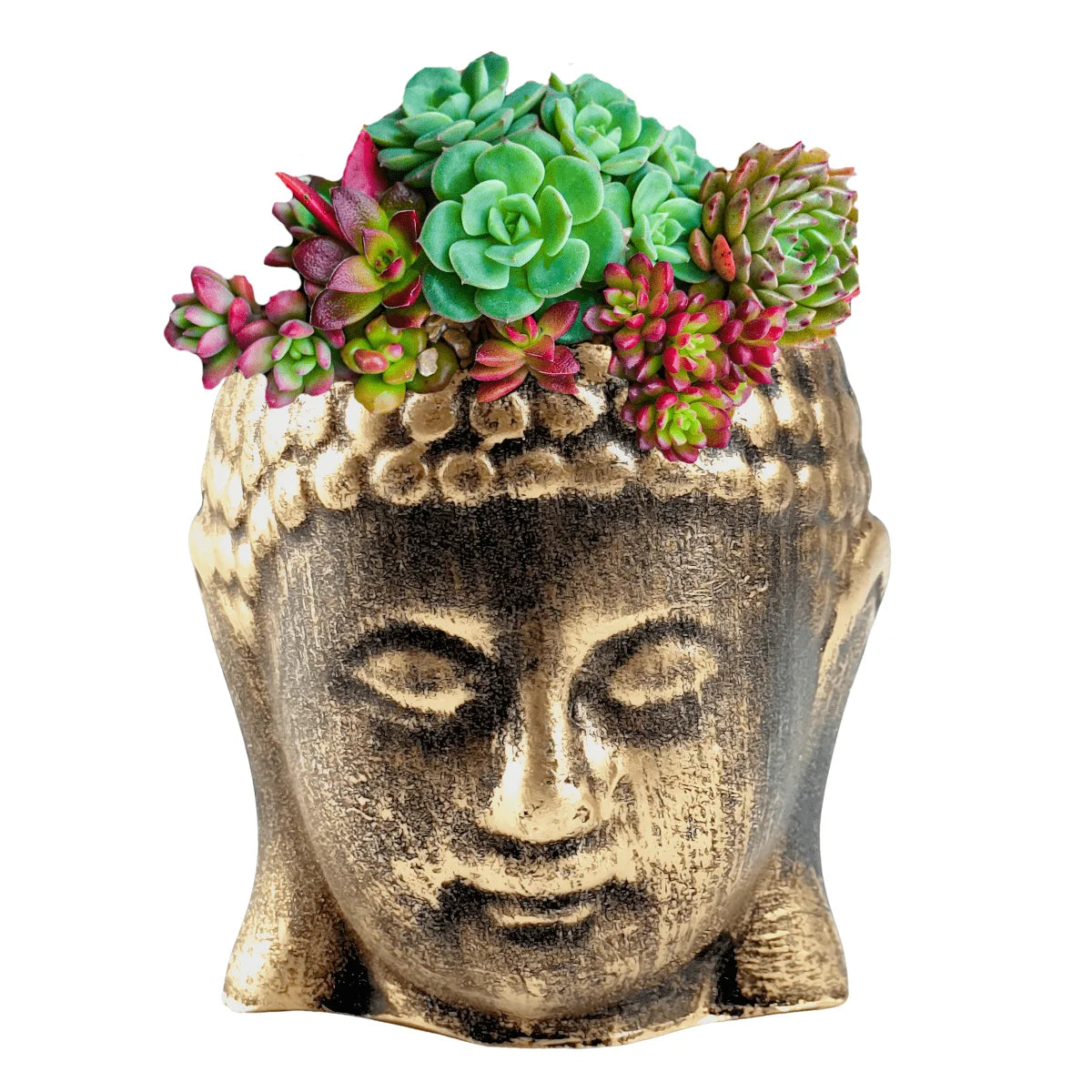 Cachepot Buda Pequeno