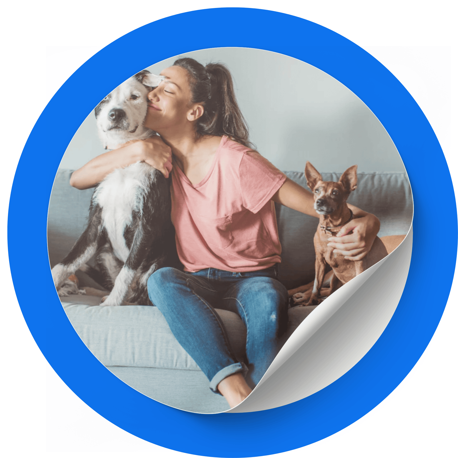 Pets