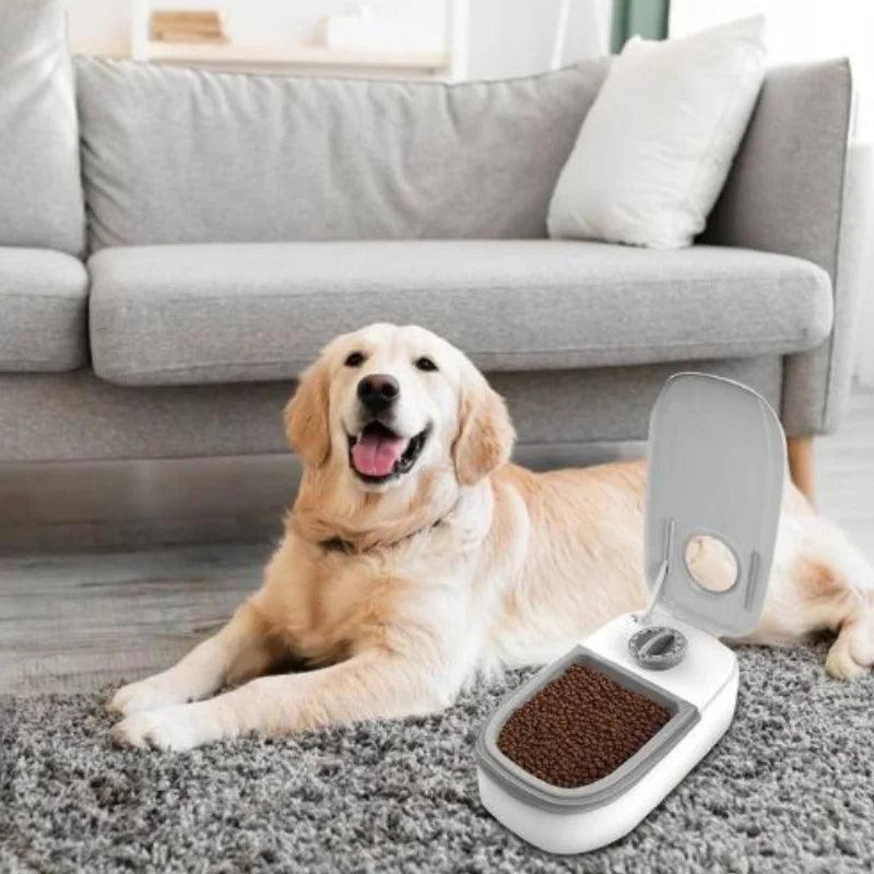 Dispensador de comida com time
