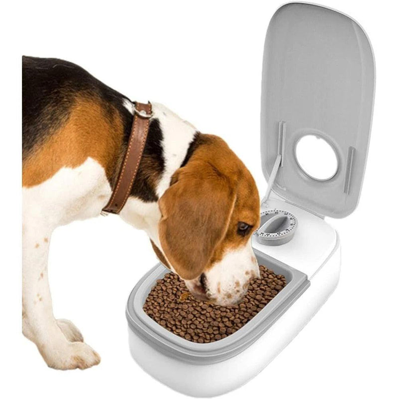 Dispensador de comida com time