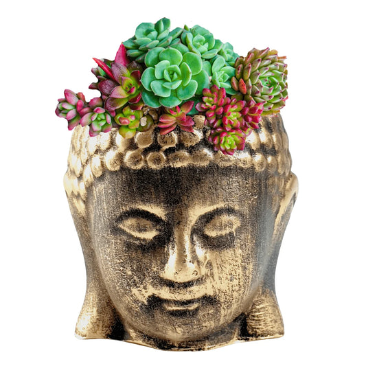 Cachepot Buda Pequeno