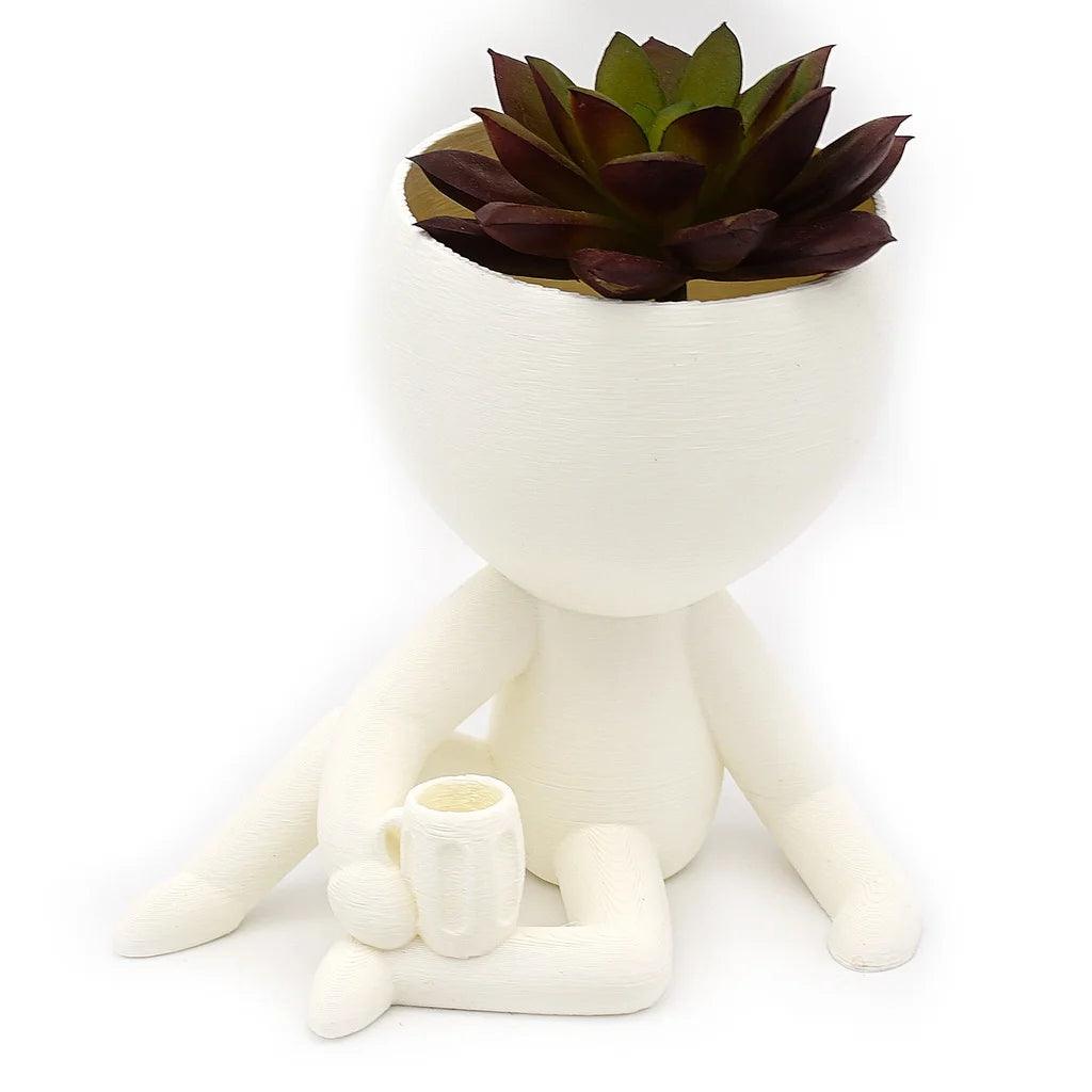 Kit Com 5 Vasos Suculentas  - EXCLUSIVO DECORE DESIGN