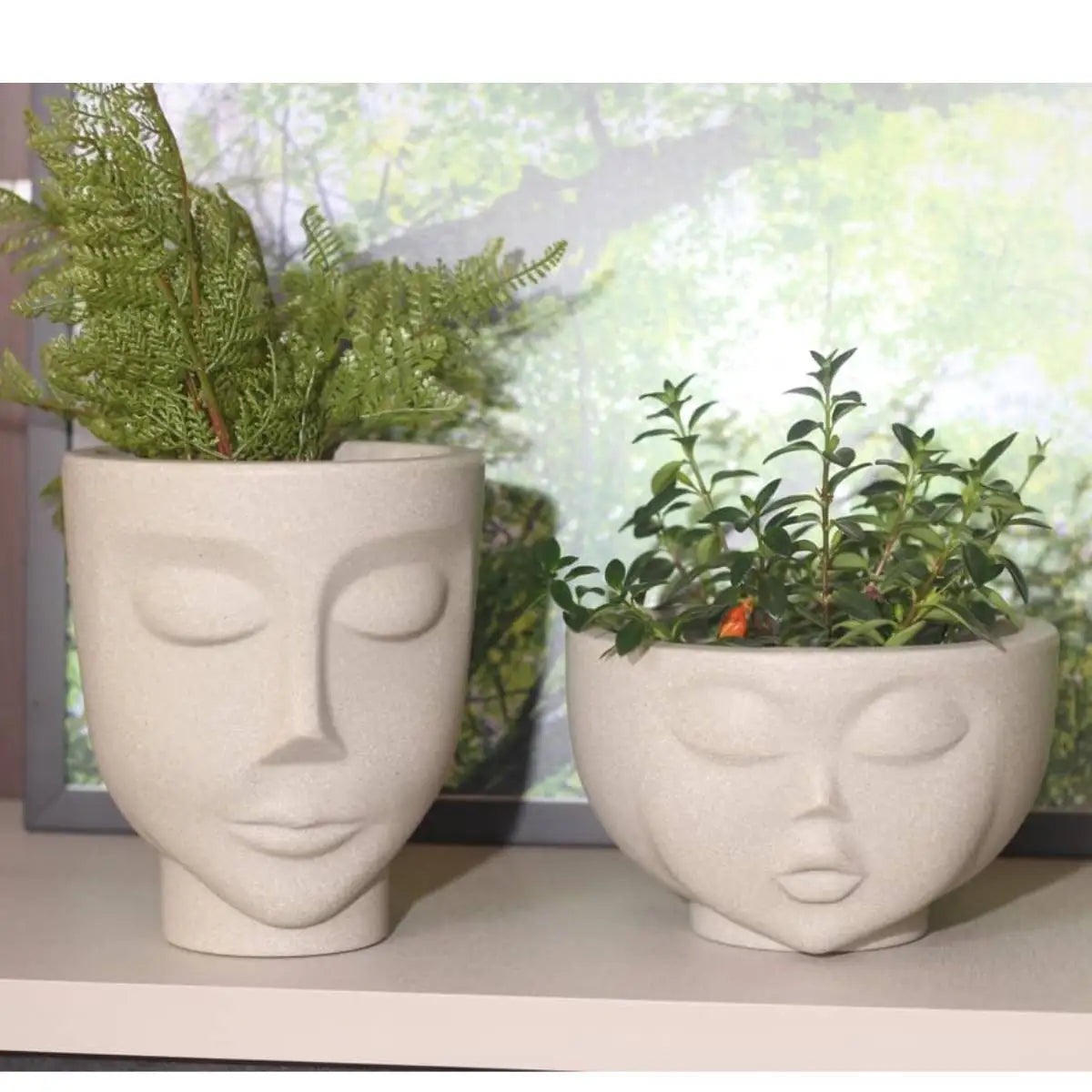 Vaso de Plantas Face Vases (1L)