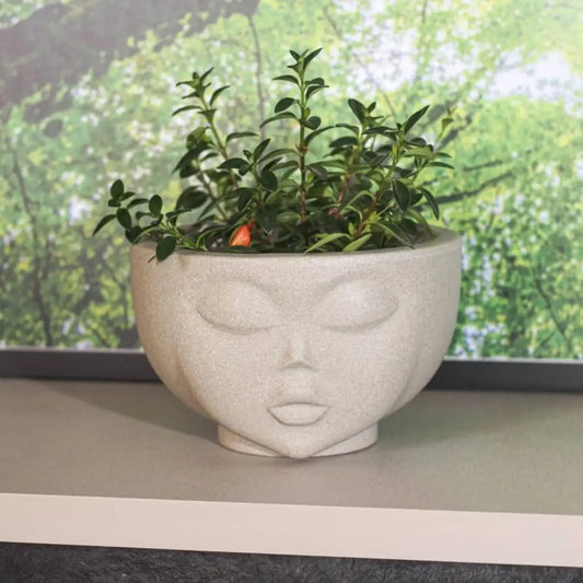 Vaso de Plantas Face Vases (1L)